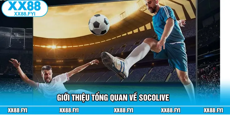 Khái quát chung về Socolive