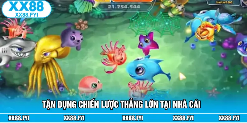 Tận dụng chiến lược thắng lớn tại nhà cái